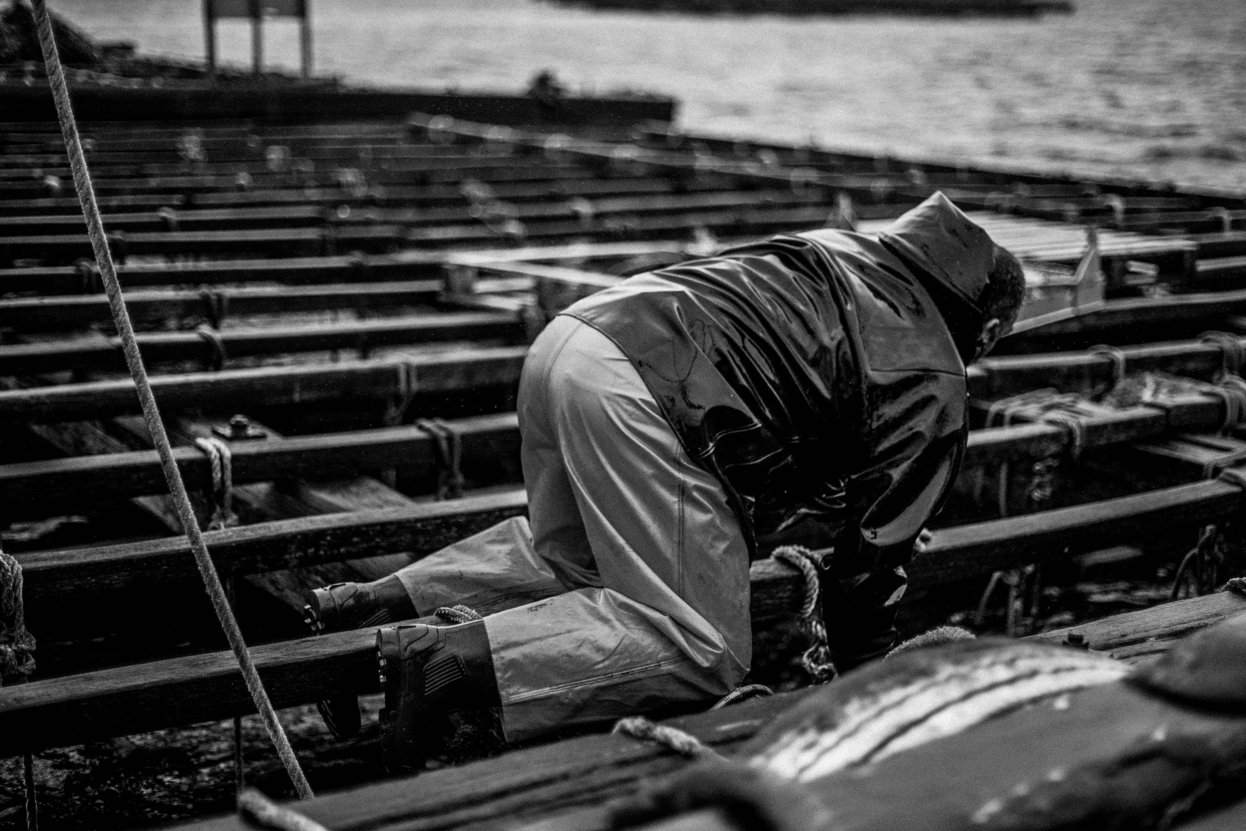 DIFERENCIAS ENTRE EL MEJILLÓN DE BATEA Y EL MEJILLÓN SALVAJE