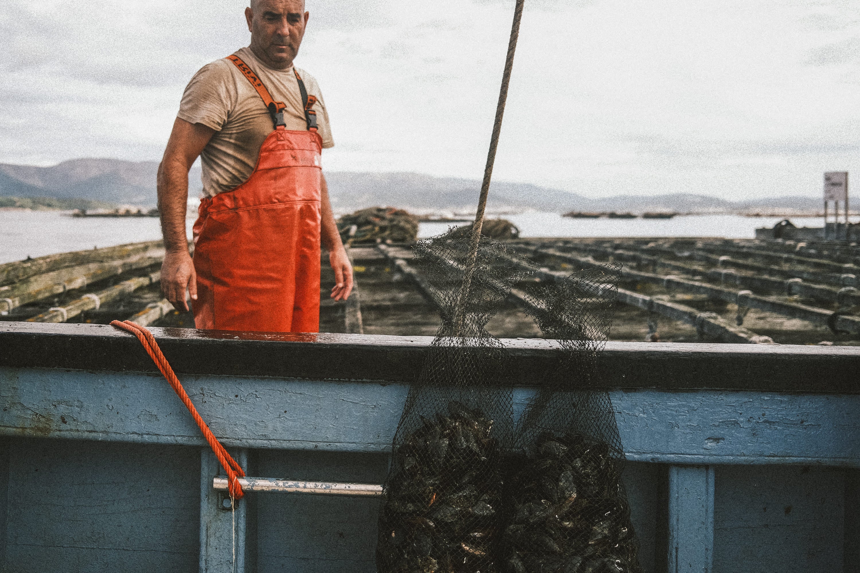 pesca sostenible