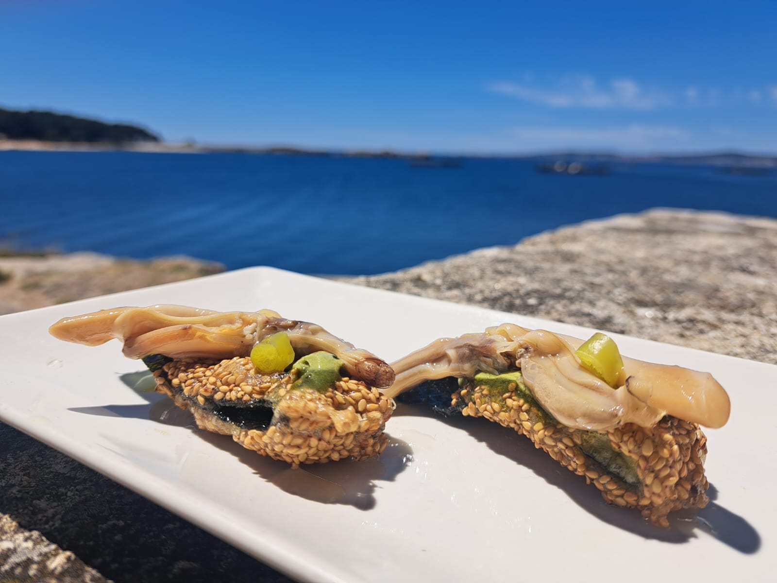 receta navaja