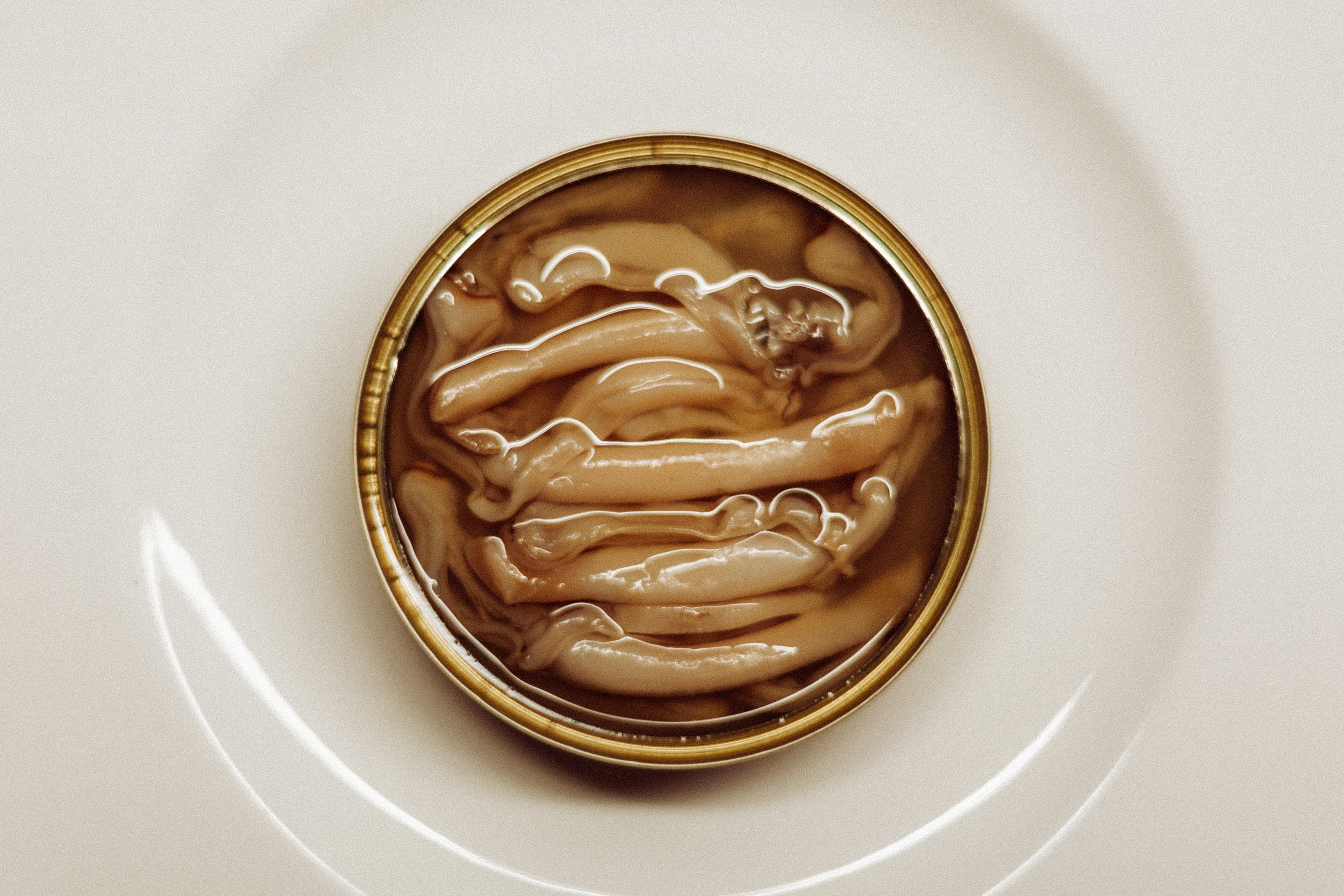 conservas gallegas artesanales