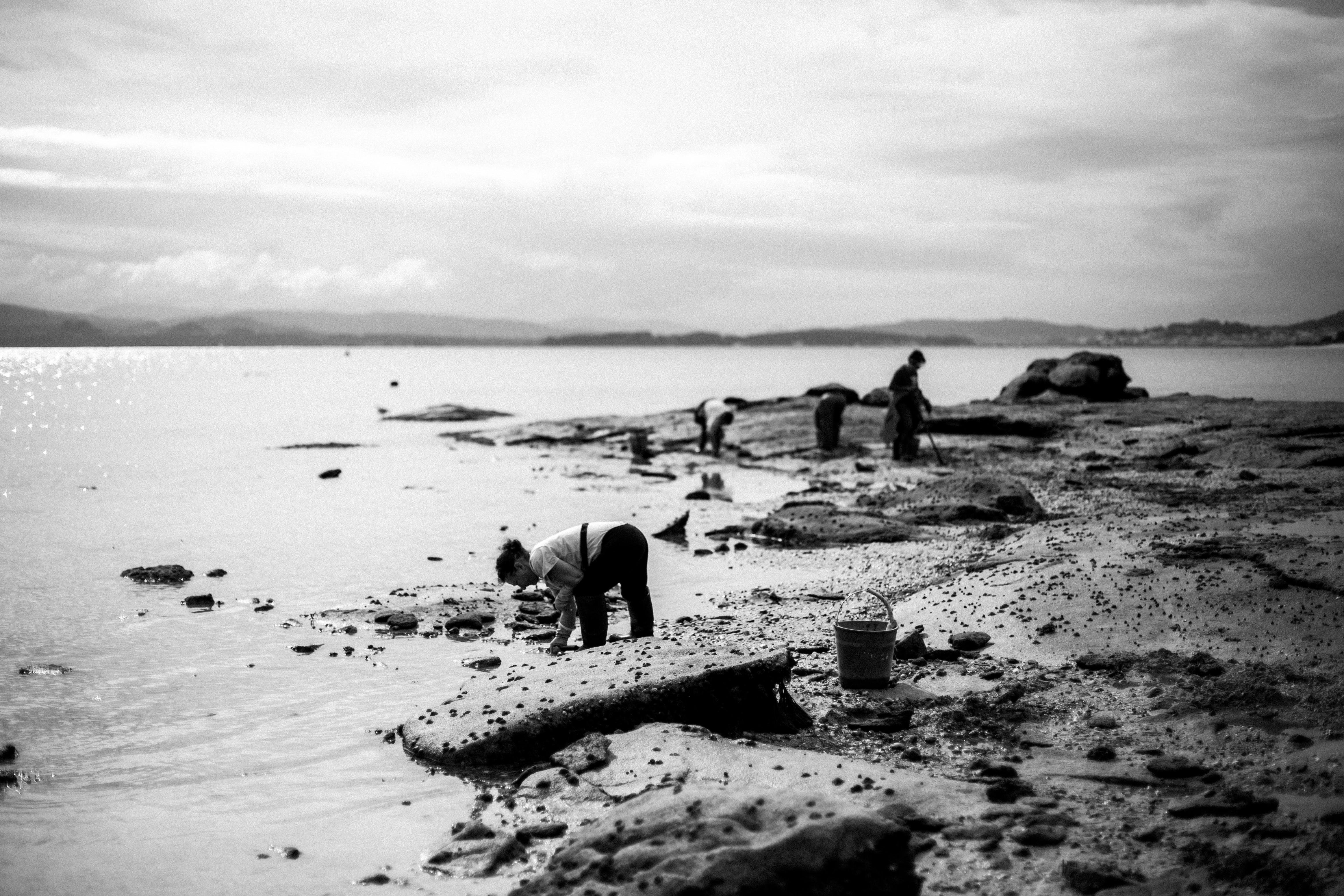 Mariscadoras septiembre