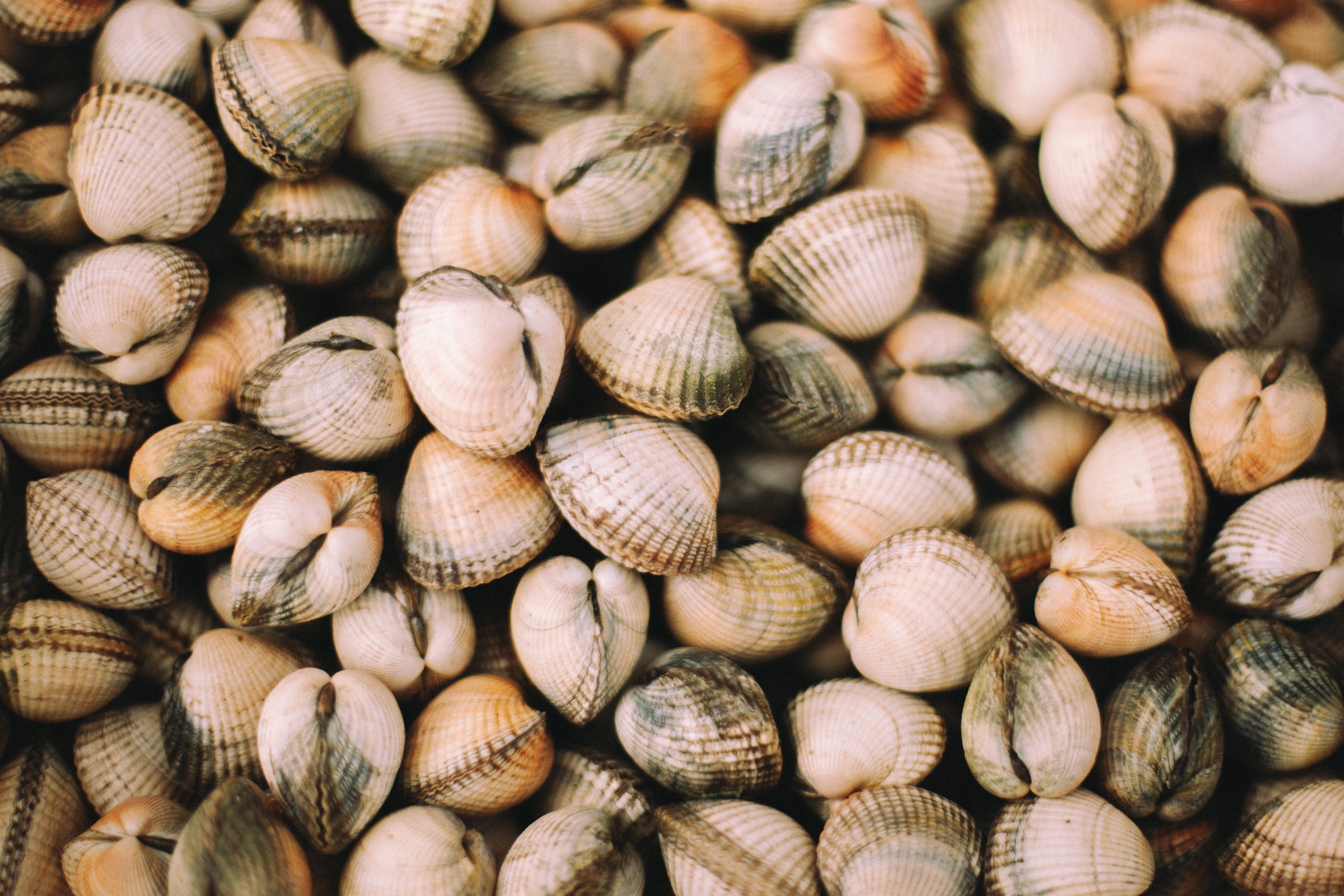 Conservas gallegas gourmet