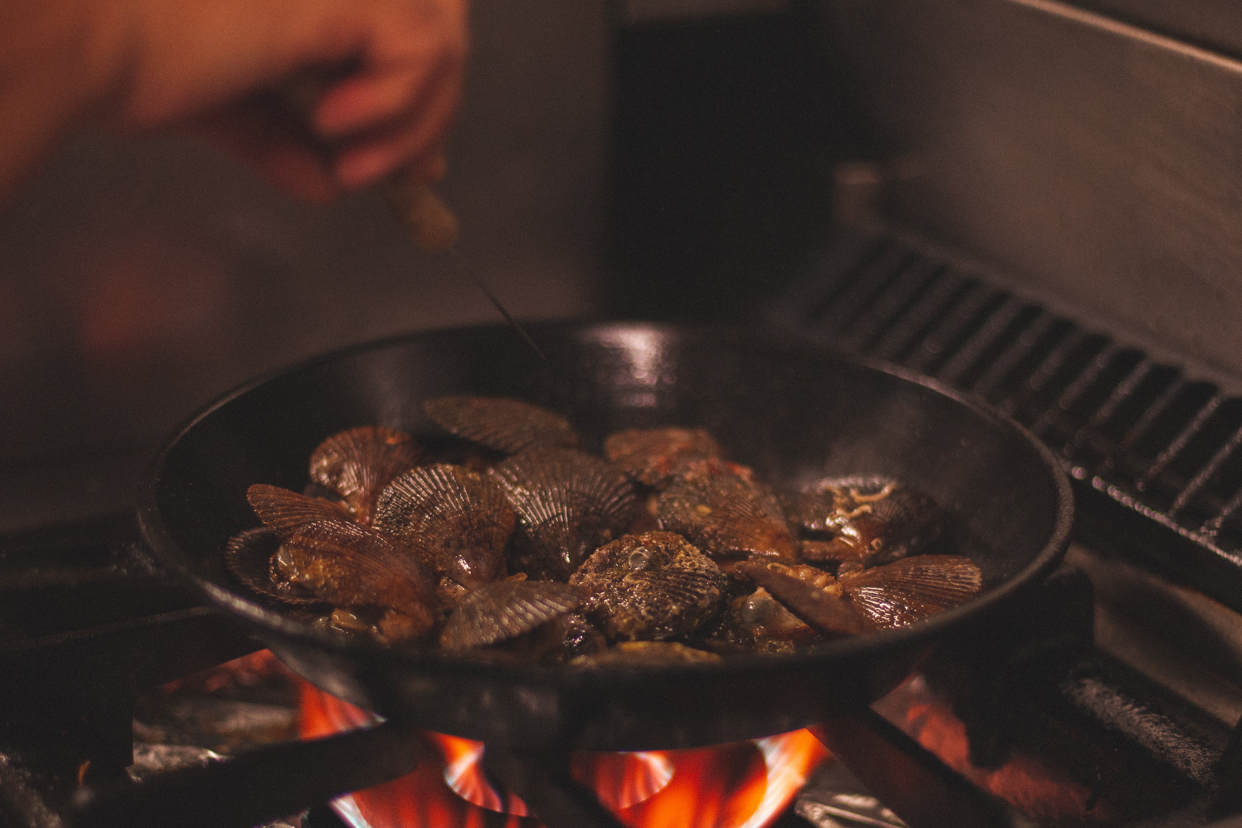 mariscos para conservas gourmet 