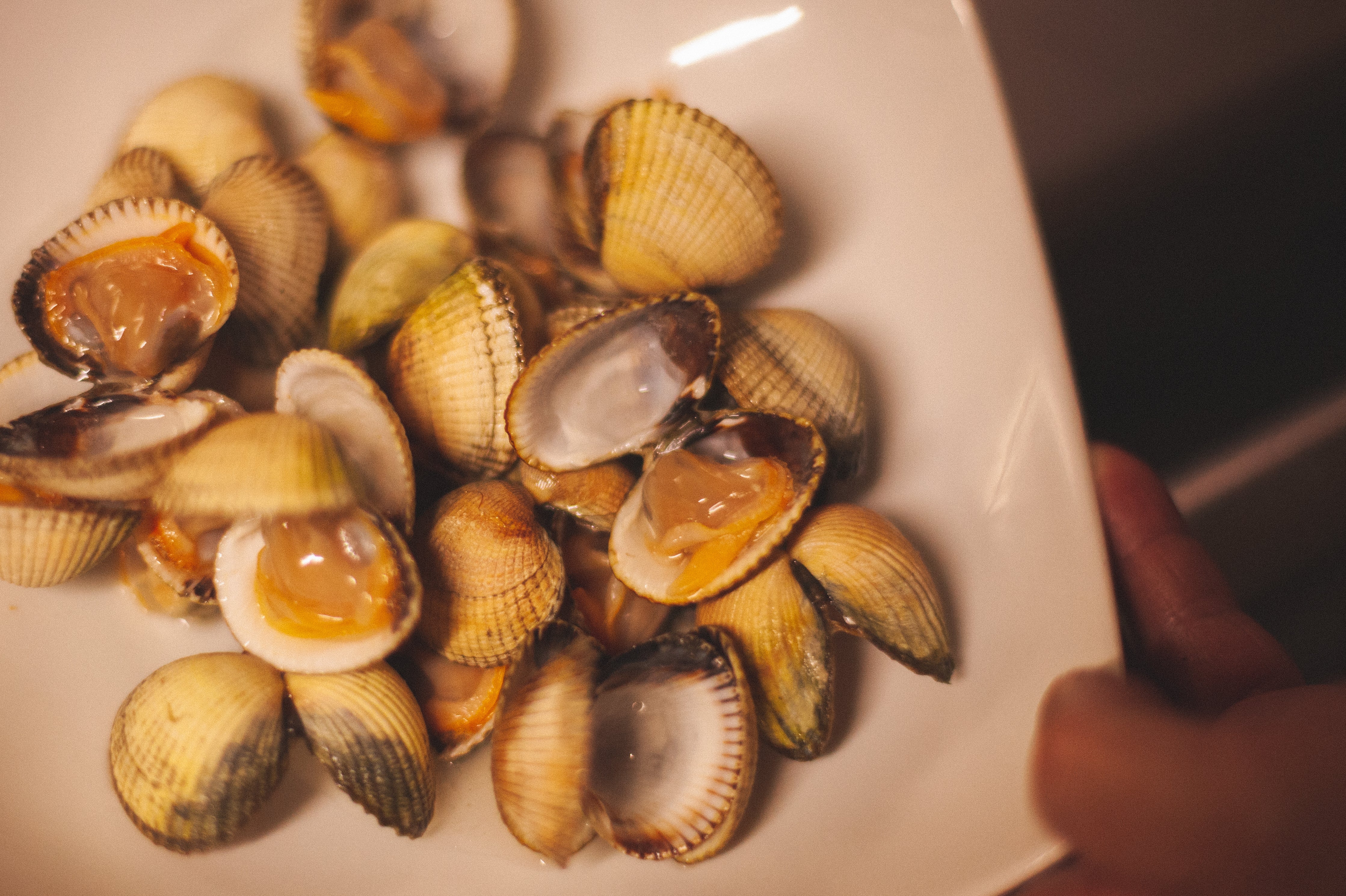 EL CAMINO DE SANTIAGO Y SU VÍNCULO CON LA GASTRONOMÍA GALLEGA